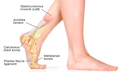 Achilles Injuries